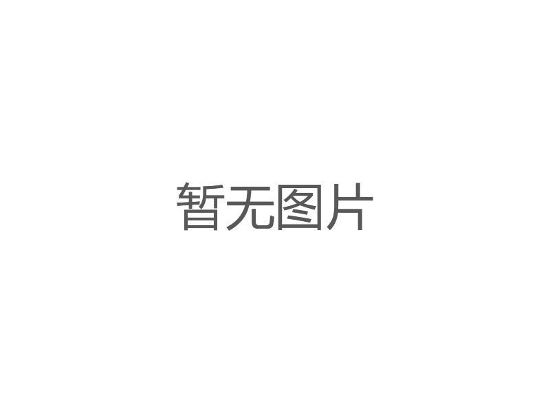 新中式門(mén)式起重機(jī)